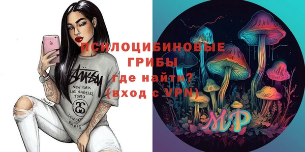 мдма Новодвинск