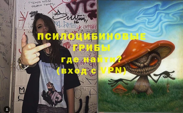 гидра Нефтекумск